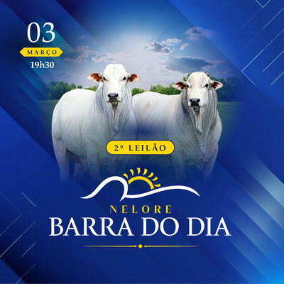 2° LEILÃO NELORE BARRA DO DIA - ETAPA TOUROS