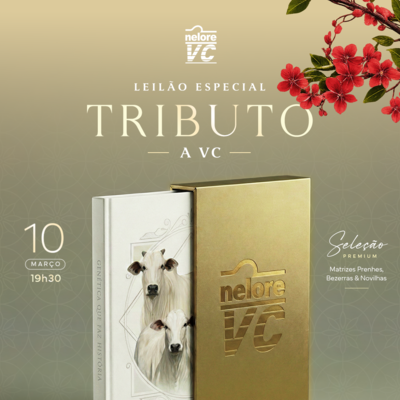 1º LEILÃO TRIBUTO À VC