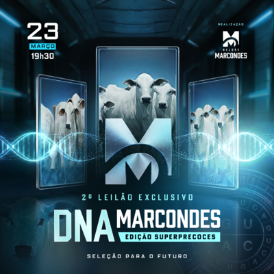 2º LEILÃO DNA NELORE MARCONDES - EDIÇÃO SUPERPRECOCES
