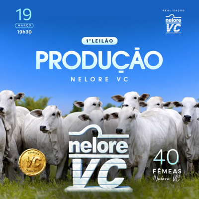 LEILÃO PRODUÇÃO NELORE VC