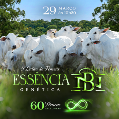 5º LEILÃO ESSÊNCIA GENÉTICA - NELORE DA BAMBÚ