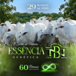 Banner - 5º LEILÃO ESSÊNCIA GENÉTICA - NELORE DA BAMBÚ