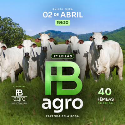 2º LEILÃO FB AGRO - FAZENDA BELA ROSA