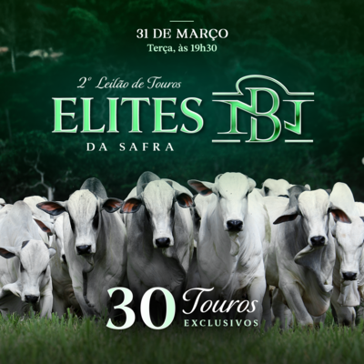 2º LEILÃO ELITES DA SAFRA  -  NELORE DA BAMBÚ