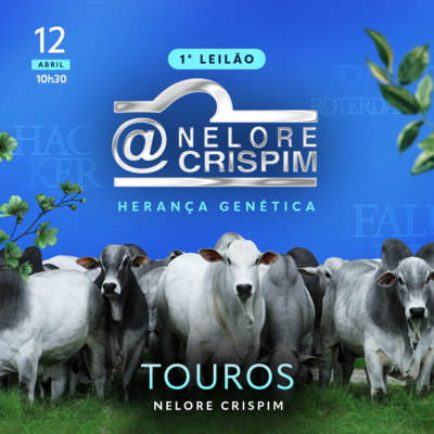 1º LEILÃO HERANÇA GENÉTICA - NELORE CRISPIM