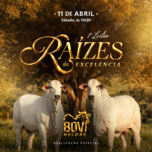 Banner - 1º LEILÃO RAÍZES DA EXCELÊNCIA 