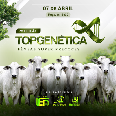 2º LEILÃO TOP GENÉTICA 