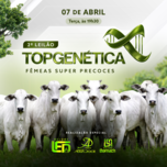 Banner - 2º LEILÃO TOP GENÉTICA 