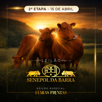 LEILÃO SENEPOL DA BARRA - FÊMEAS PRENHES 15/04