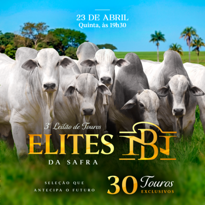 3º LEILÃO ELITES DA SAFRA - NELORE DA BAMBÚ