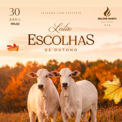 LEILÃO ESCOLHAS DE OUTONO - NELORE BURITI