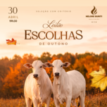 Banner - LEILÃO ESCOLHAS DE OUTONO - NELORE BURITI