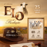 Banner - 2º LEILÃO ELO DA PRODUÇÃO