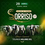 Banner - LEILÃO NELORE SORRISO - 29.04