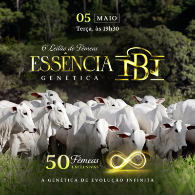 6º LEILÃO ESSÊNCIA GENÉTICA - NELORE DA BAMBÚ