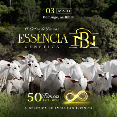 6º LEILÃO ESSÊNCIA GENÉTICA - NELORE DA BAMBÚ