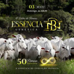 Banner - 6º LEILÃO ESSÊNCIA GENÉTICA - NELORE DA BAMBÚ