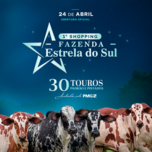 Banner - 1º SHOPPING FAZENDA ESTRELA DO SUL 