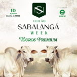 Banner - SABALANGÁ WEEK - TOUROS PREMIUM
