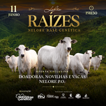 Banner - LEILÃO RAÍZES - NELORE BASE GENÉTICA 