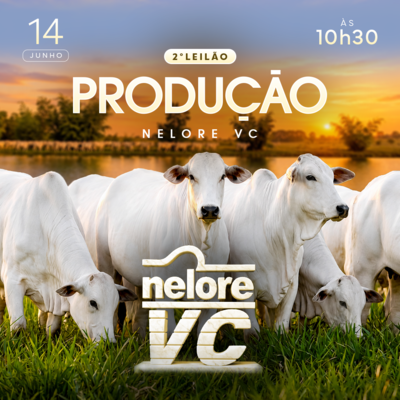 2° LEILÃO PRODUÇÃO - NELORE VC