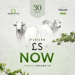 Banner - 2º LEILÃO LS NOW