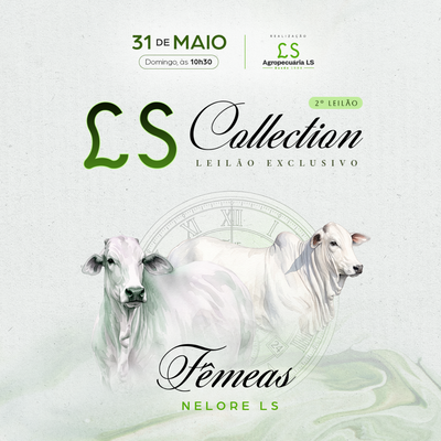 2º LEILÃO LS COLLECTION