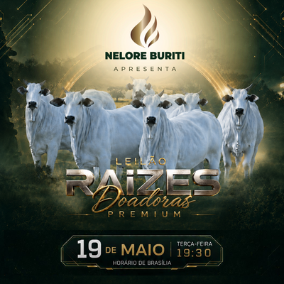 LEILÃO RAÍZES DOADORAS PREMIUM - NELORE BURITI