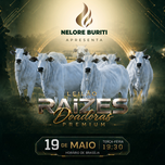 Banner - LEILÃO RAÍZES DOADORAS PREMIUM - NELORE BURITI