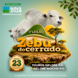 Banner - 3° LEILÃO ZEBU DO CERRADO