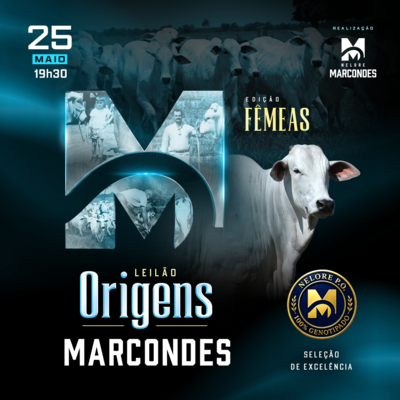 LEILÃO ORIGENS MARCONDES - FÊMEAS