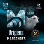 Banner - LEILÃO ORIGENS MARCONDES - MACHOS