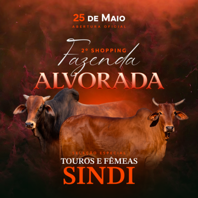 2º SHOPPING FAZENDA ALVORADA - SINDI