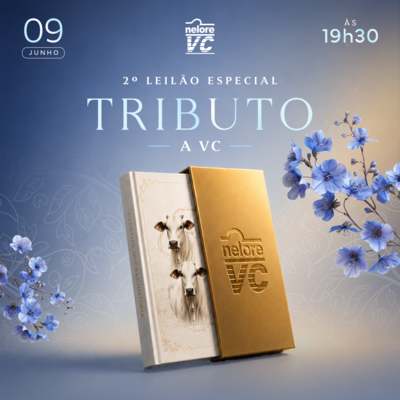 2° LEILÃO TRIBUTO A VC