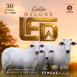 Banner - LEILÃO NELORE LFD - MATRIZES
