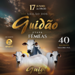 Banner - LEILÃO DOS GUIDÃO - ETAPA FÊMEAS