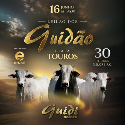LEILÃO DOS GUIDÃO - ETAPA TOUROS