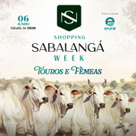 Banner - SHOPPING SABALANGÁ WEEK - TOUROS & FÊMEAS