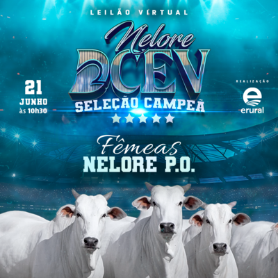 LEILÃO SELEÇÃO CAMPEÃ - NELORE DCEV