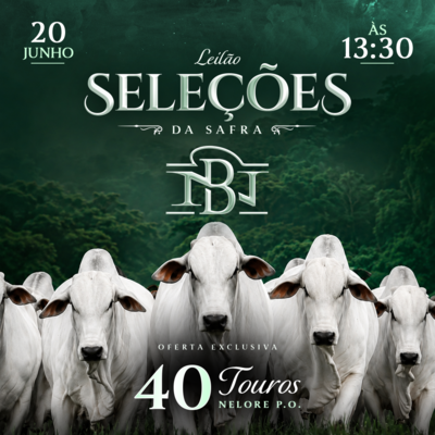LEILÃO SELEÇÕES DA SAFRA - NELORE DA BAMBÚ
