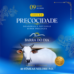 Banner - LEILÃO PRECOCIDADE BARRA DO DIA - DOADORAS E NOVILHAS 