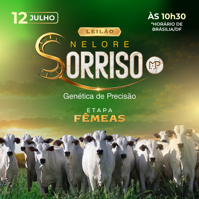 LEILÃO NELORE SORRISO - ETAPA FÊMEAS 