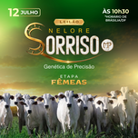 Banner - LEILÃO NELORE SORRISO - ETAPA FÊMEAS 
