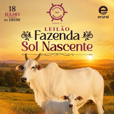 1º LEILÃO FAZ. SOL NASCENTE