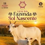 Banner - 1º LEILÃO FAZ. SOL NASCENTE