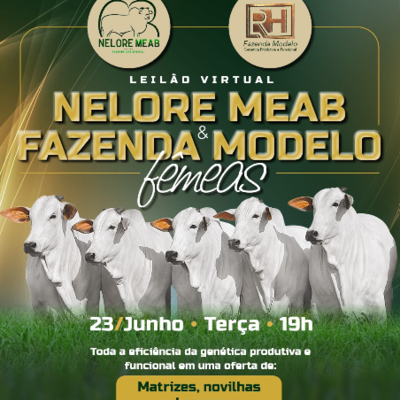 NELORE MEAB E FAZENDA MODELO - FÊMEAS