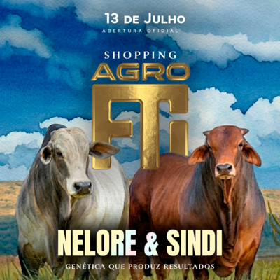 2º SHOPPING AGRO FTI - SINDI E NELORE PADRÃO