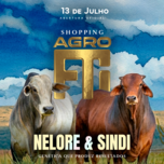Banner - 2º SHOPPING AGRO FTI - SINDI E NELORE PADRÃO