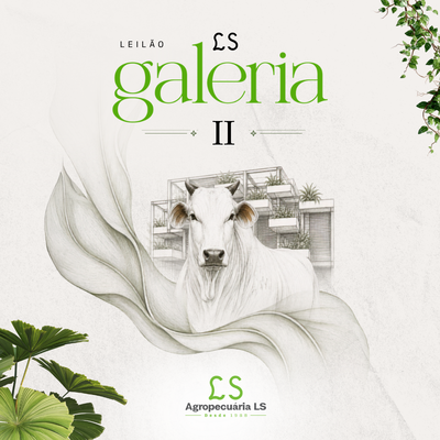 2º LEILÃO LS GALERIA