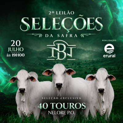 2º LEILÃO SELEÇÕES DA SAFRA - NELORE DA BAMBÚ
